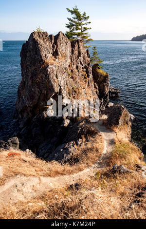 Felsige Küstenlinie auf Creyke Point Trail-East Sooke Regional Park, Sooke, Vancouver Island, British Columbia, Kanada Stockfoto