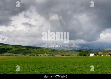 zeitigen Frühjahr Stockfoto