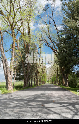 Landstraße Stockfoto