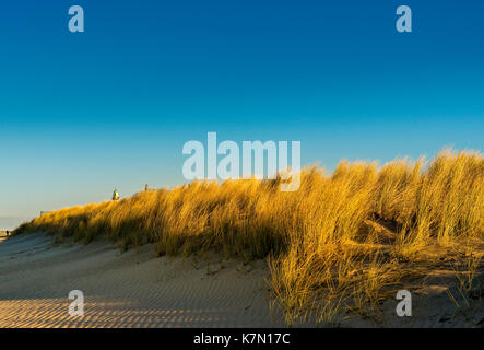 Sanddünen an der Ostsee, Warnemünde, Mecklenburg-Vorpommern, Deutschland Stockfoto