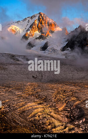 Aiguille du Chardonnet Gipfel im Nebel über dem Gletscher Glacier du Tour, Abendlicht, Chamonix, Savoyen, Frankreich Stockfoto