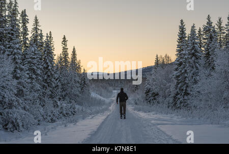 Junger Mann, der auf Skiern durch schneebedeckte Wälder in den Sonnenuntergang läuft Stockfoto