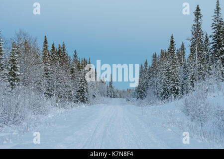 Schneebedeckte Straße durch schwedischen Winterwald Stockfoto