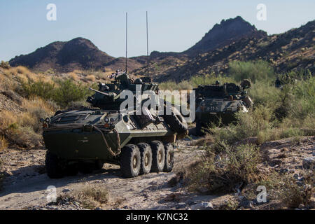 LAV-25 gepanzertes Fahrzeug Stockfoto