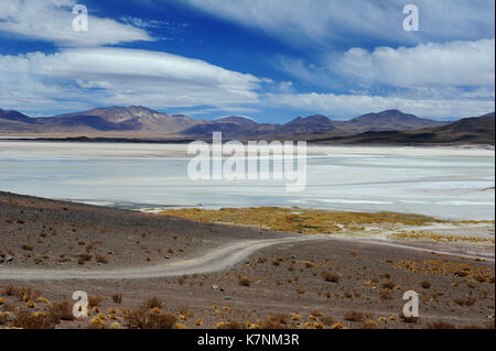 Laguna Miscanti, Atacama, Chile Stockfoto