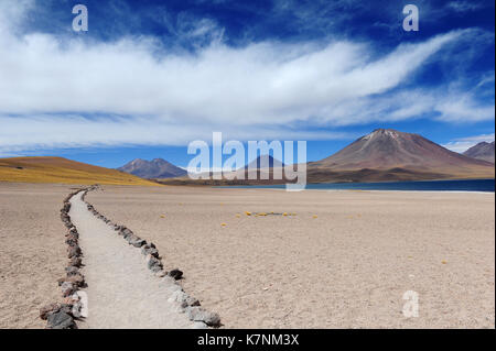 Der Weg zur Laguna Miscanti, Atacama, Chile Stockfoto