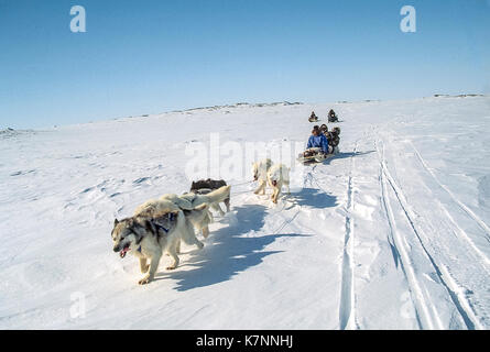 Die Menschen gekleidet in traditionelle Caribou haut Kleidung und modernen arktischen Bekleidung Fahrt auf einem Schlitten hinter Dog Team. Die Mannschaft ist in einem Angekoppelten Ventilator Stil in die offene Tundra verwendet. Stockfoto