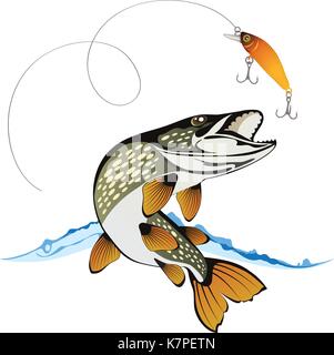 Hecht und Fischen lure mit Wasser spritzen auf einem weißen Hintergrund, farbige Vector Illustration Stock Vektor