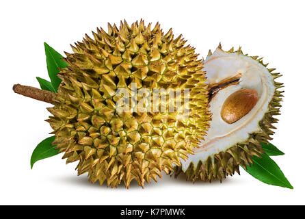 Durian isoliert auf weißem Hintergrund. Stockfoto