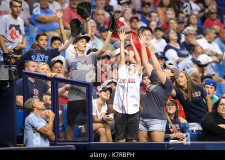 St. Petersburg, Florida, USA. 16 Sep, 2017. Wird VRAGOVIC | Zeiten. Fans versuchen einen Ball in die Menschenmenge im sechsten Inning des Spiels zwischen den Boston Red Sox und die Tampa Bay Rays am Tropicana Feld in St. Petersburg, Fla. am Samstag, Sept. 16, 2017 geworfen zu fangen. Kreditkarten: werden Vragovic/Tampa Bay Zeiten/ZUMA Draht/Alamy leben Nachrichten Stockfoto