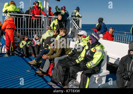 Menschen tragen warme Overalls reiten Boot während eine Whale Watching Tour aus Reykjavik. Stockfoto