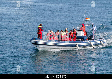 Touristen kommen zurück in den Hafen von eine Whale Watching Tour auf einer kleinen Schnellboot. Stockfoto