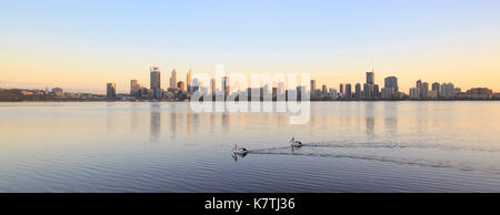 Zwei australische Pelikanen (Pelecanus conspicillatus) auf dem Swan River bei Sonnenaufgang. Perth, Western Australia Stockfoto