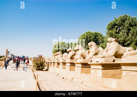 Sphinxallee in Luxor, Ägypten Stockfoto