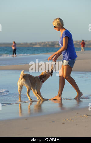 Junge Frau spielt mit ihrem Golden Retriever am Strand Stockfoto