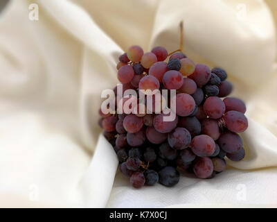 Glas, Flasche Wein und Trauben Stockfoto