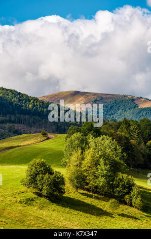 Wald am Hang in der Nähe der Fußweg durch die Wiese. schönen bergigen Landschaft im Herbst mit riesigen Wolke auf dem Hintergrund Stockfoto