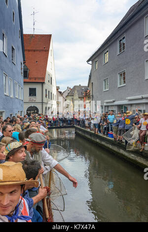 Fischertag (Fisher Tag): Männer und Jungen am Kanal Stadtbach warten auf das Startsignal zu fangen einen Fisch (Forelle), Memmingen, Schwaben, Schwaben, Bayern, B Stockfoto