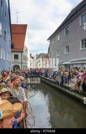 Fischertag (Fisher Tag): Männer und Jungen am Kanal Stadtbach warten auf das Startsignal zu fangen einen Fisch (Forelle), Memmingen, Schwaben, Schwaben, Bayern, B Stockfoto
