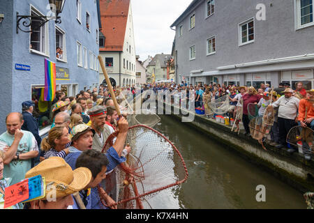 Fischertag (Fisher Tag): Männer und Jungen am Kanal Stadtbach warten auf das Startsignal zu fangen einen Fisch (Forelle), Memmingen, Schwaben, Schwaben, Bayern, B Stockfoto
