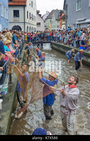 Fischertag (Fisher Tag): Männer und Jungen, die in den Kanal Stadtbach versuchen zu fangen einen Fisch (Forelle), Memmingen, Schwaben, Schwaben, Bayern, Bayern, Deutschland Stockfoto