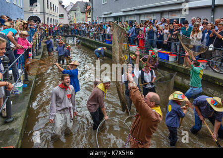 Fischertag (Fisher Tag): Männer und Jungen, die in den Kanal Stadtbach versuchen zu fangen einen Fisch (Forelle), Memmingen, Schwaben, Schwaben, Bayern, Bayern, Deutschland Stockfoto