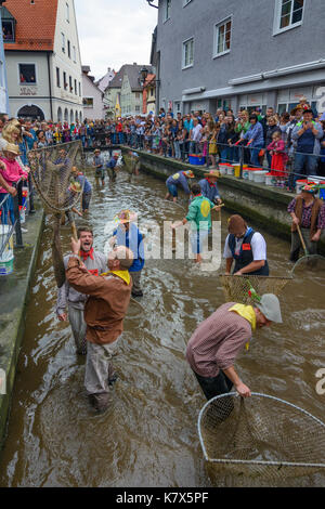 Fischertag (Fisher Tag): Männer und Jungen, die in den Kanal Stadtbach versuchen zu fangen einen Fisch (Forelle), Memmingen, Schwaben, Schwaben, Bayern, Bayern, Deutschland Stockfoto
