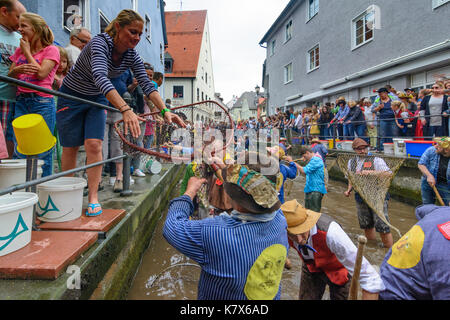 Fischertag (Fisher Tag): Männer und Jungen, die in den Kanal Stadtbach versuchen zu fangen einen Fisch (Forelle), Memmingen, Schwaben, Schwaben, Bayern, Bayern, Deutschland Stockfoto