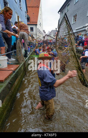 Fischertag (Fisher Tag): Männer und Jungen, die in den Kanal Stadtbach versuchen zu fangen einen Fisch (Forelle), Memmingen, Schwaben, Schwaben, Bayern, Bayern, Deutschland Stockfoto