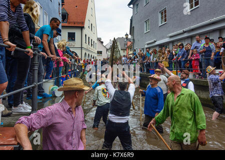 Fischertag (Fisher Tag): Männer und Jungen, die in den Kanal Stadtbach versuchen zu fangen einen Fisch (Forelle), Memmingen, Schwaben, Schwaben, Bayern, Bayern, Deutschland Stockfoto
