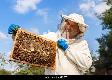 Closeup Portrait von imker Holding eine Wabe voll von Bienen. Imker in arbeitsschutzausrüstungen Inspektion Honeycomb Rahmen an der Imkerei. Imkerei conc Stockfoto