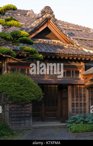 Sehr alte hölzerne, Japanisch home in Otaru, Japan. Die gepflegten immergrünen Bäume im Innenhof im warmen Licht des späten Nachmittags Licht. Stockfoto