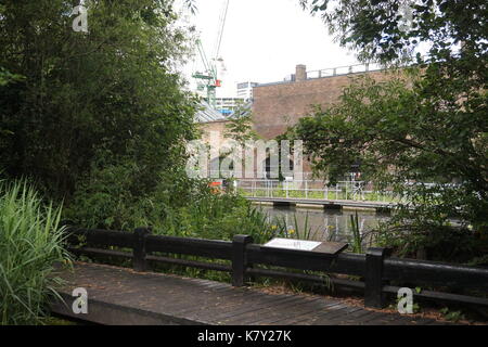 Ein Blick auf den Regent's Canal von camley Street Natural Park, urban Wildlife Park, London Stockfoto