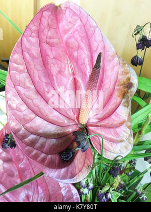 Blumenarrangement Mit Calla Blume Blüte Stockfoto