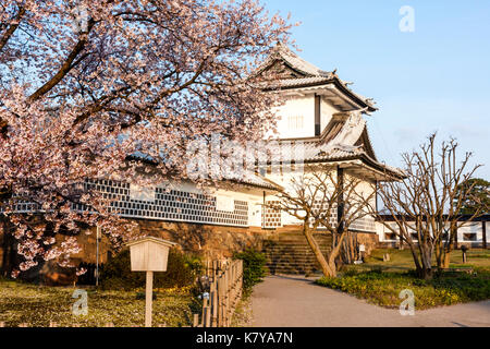 Burg Kanazawa, Japan. Ishikawa-mon Tor yagura, Revolver, aus dem San-no-maru gesehen. Weg, der Revolver, informantion unterzeichnen und Kirschblüten. Stockfoto