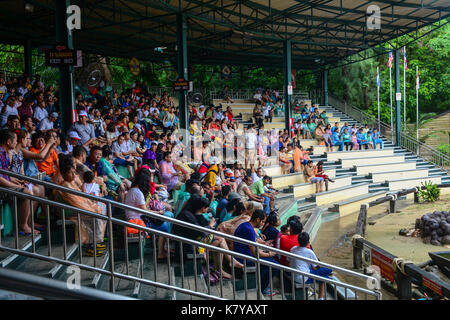 Bangkok, Thailand - 16.Juni 2016. Menschen bei Safari World in Bangkok, Thailand beobachten können. Der Park ist eine touristische Attraktion, wurde 1988 mit geöffnet Stockfoto