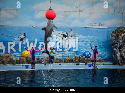 Bangkok, Thailand - 16.Juni 2016. Ein Delphin auf kreative unterhaltsame Show auf Safari World in Bangkok, Thailand. Der Park ist eine touristische attracti Stockfoto