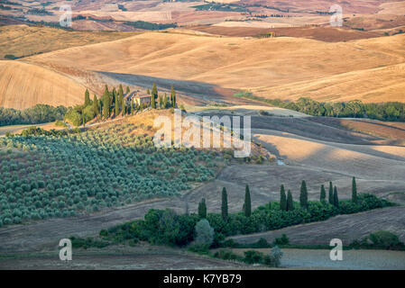 Schönen typischen Landschaft Sommer Landschaft in der Toskana, Italien Stockfoto