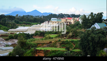 Viele Häuser auf dem Hügel in der Landschaft in Dalat, Vietnam. Da Lat liegt 1.500 m über dem Meeresspiegel auf dem langbian Hochebene gelegen. Stockfoto