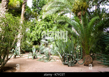 Die Majorell Garten ist am schönsten Landschaft Garten der Stadt. Marrakesch, Marrakech-Safi. Marokko Stockfoto