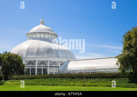 NEW YORK CITY - 1. SEPTEMBER 2017: Ansicht der historischen Enid A. Haupt Wintergarten auf dem Gelände der New York Botanical Garden entfernt. Stockfoto