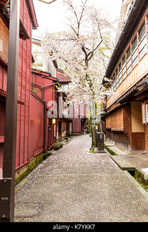 Kazue-machi Chaya beliebten touristischen Viertel, Kanazawa. Edo periode Straße, Mix aus traditionellen japanischen Gebäude aus Holz, inns, Ryokan, und Gehäuse Stockfoto