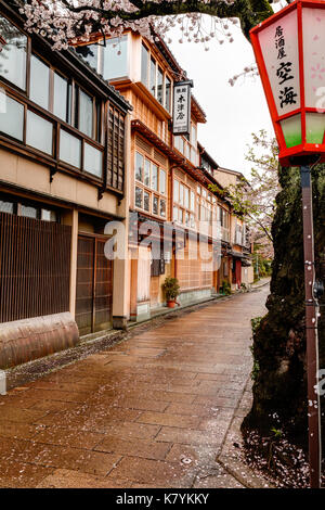 Kazue-machi Chaya beliebten touristischen Viertel, Kanazawa. Edo periode Straße, Mix aus traditionellen Japanischen Gasthäuser, Ryokan, und Gehäuse und Kirschblüten. Stockfoto