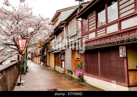 Kazue-machi Chaya beliebten touristischen Viertel, Kanazawa. Edo periode Straße, Mix aus traditionellen Japanischen Gasthäuser, Ryokan, und Gehäuse und Kirschblüten. Stockfoto