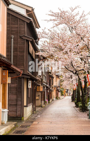 Kazue-machi Chaya beliebten touristischen Viertel, Kanazawa. Edo periode Straße, Mix aus traditionellen Japanischen Gasthäuser, Ryokan, und Gehäuse und Kirschblüten. Stockfoto