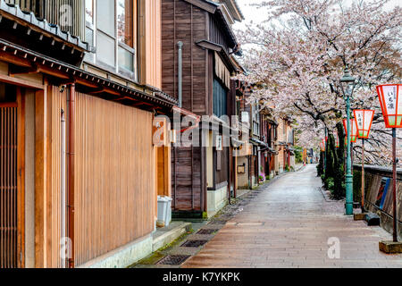 Kazue-machi Chaya beliebten touristischen Viertel, Kanazawa. Edo periode Straße, Mix aus traditionellen Japanischen Gasthäuser, Ryokan, und Gehäuse und Kirschblüten. Stockfoto