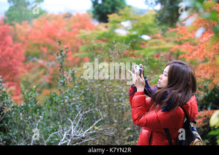 Gril nehmen Foto in Japan Herbst Stockfoto