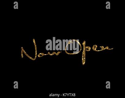 Die goldenen Glitter isoliert Hand schreiben word JETZT ÖFFNEN Stock Vektor