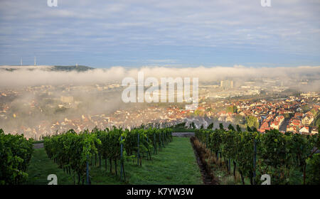 Cannstatter Volksfest/Cannstatter Wasen in Stuttgart Stockfoto