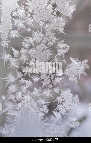 Weihnachten Hintergrund. frosty Muster aus wies Schneeflocken im Winter Fenster Glas. Stockfoto